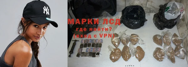 мдпв Гусев