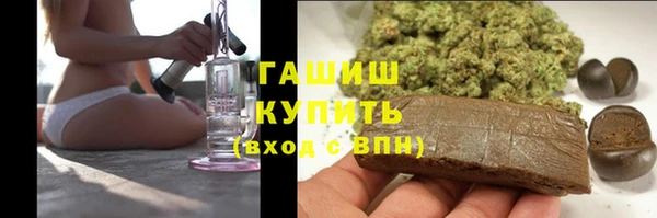 мдпв Гусев