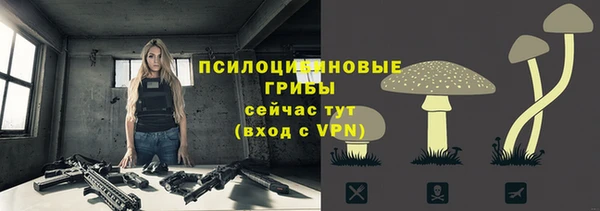 MESCALINE Гусь-Хрустальный
