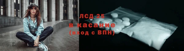 мдпв Гусев