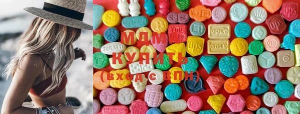 мдпв Гусев