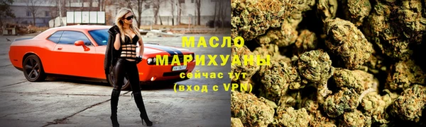 мдпв Гусев