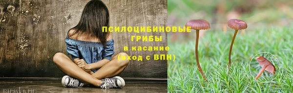 прущие крисы Дмитровск