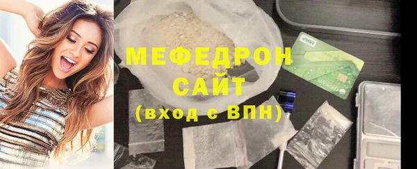 мдпв Гусев